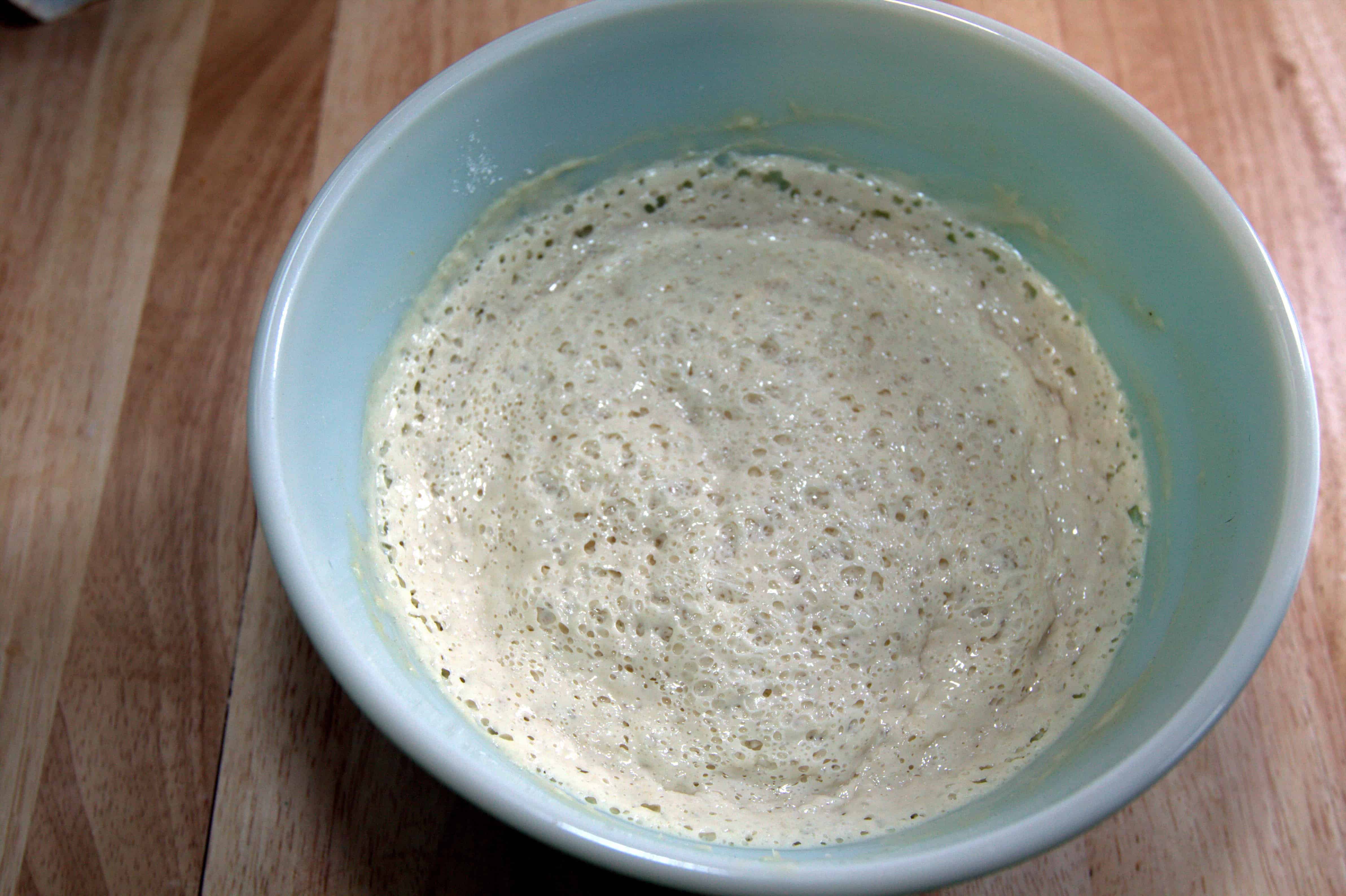 Herman the Sourdough Starter Served From Scratch