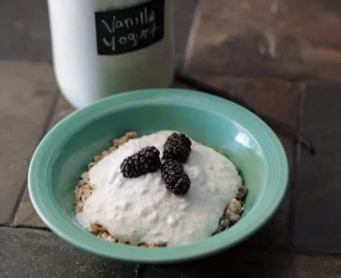 Homemade Vanilla Yogurt