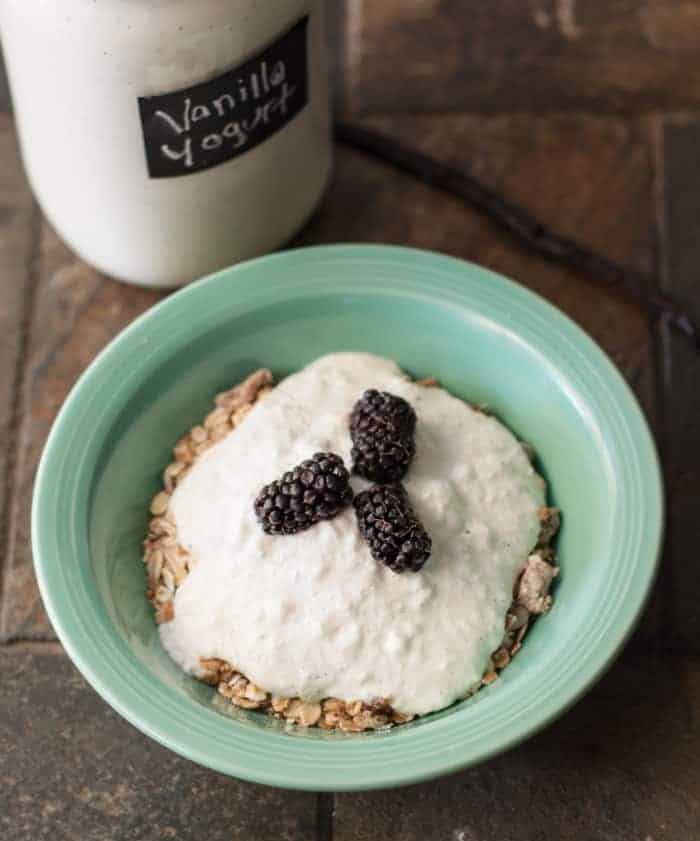 Homemade Vanilla Yogurt Served From Scratch