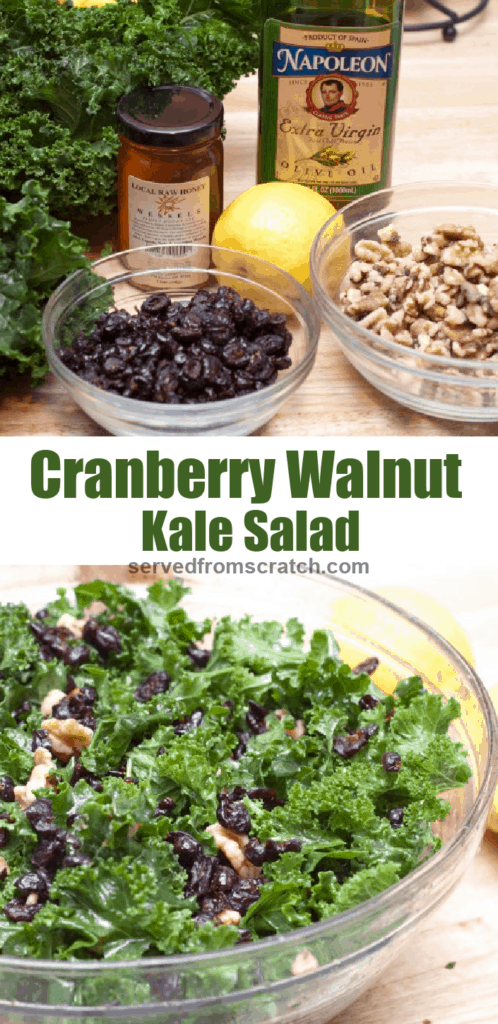 kale, cranberries, walnuts, honey, and a large bowl of it all mixed with Pinterest pin text.
