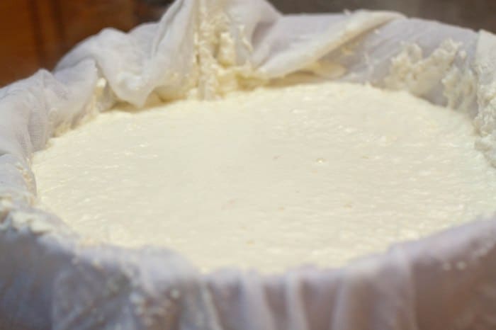 cheese cloth with cheese draining.