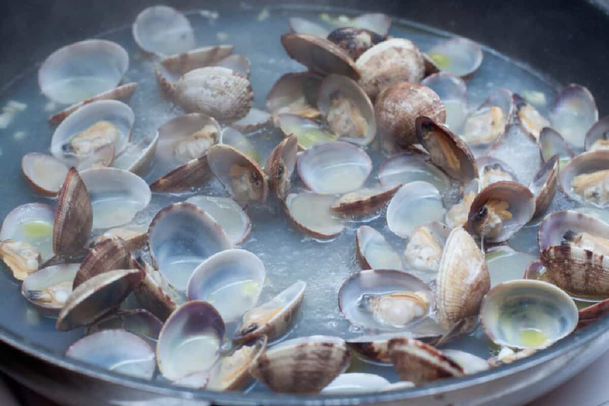 clams opened and cooked in a pan.