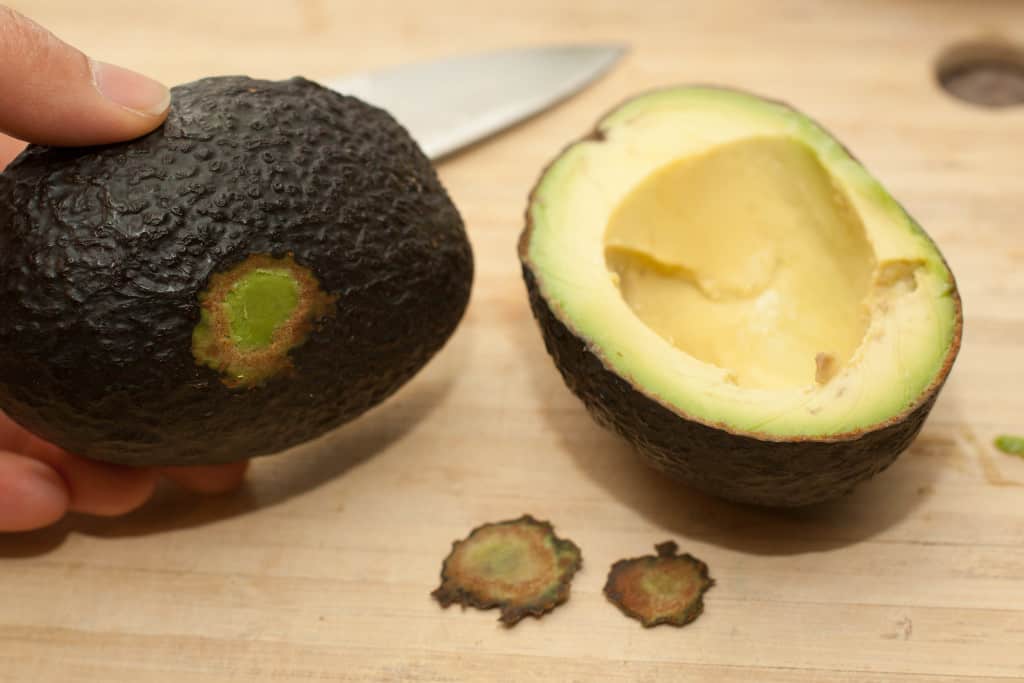 a halved avocado with a bit of the bottom cut off.