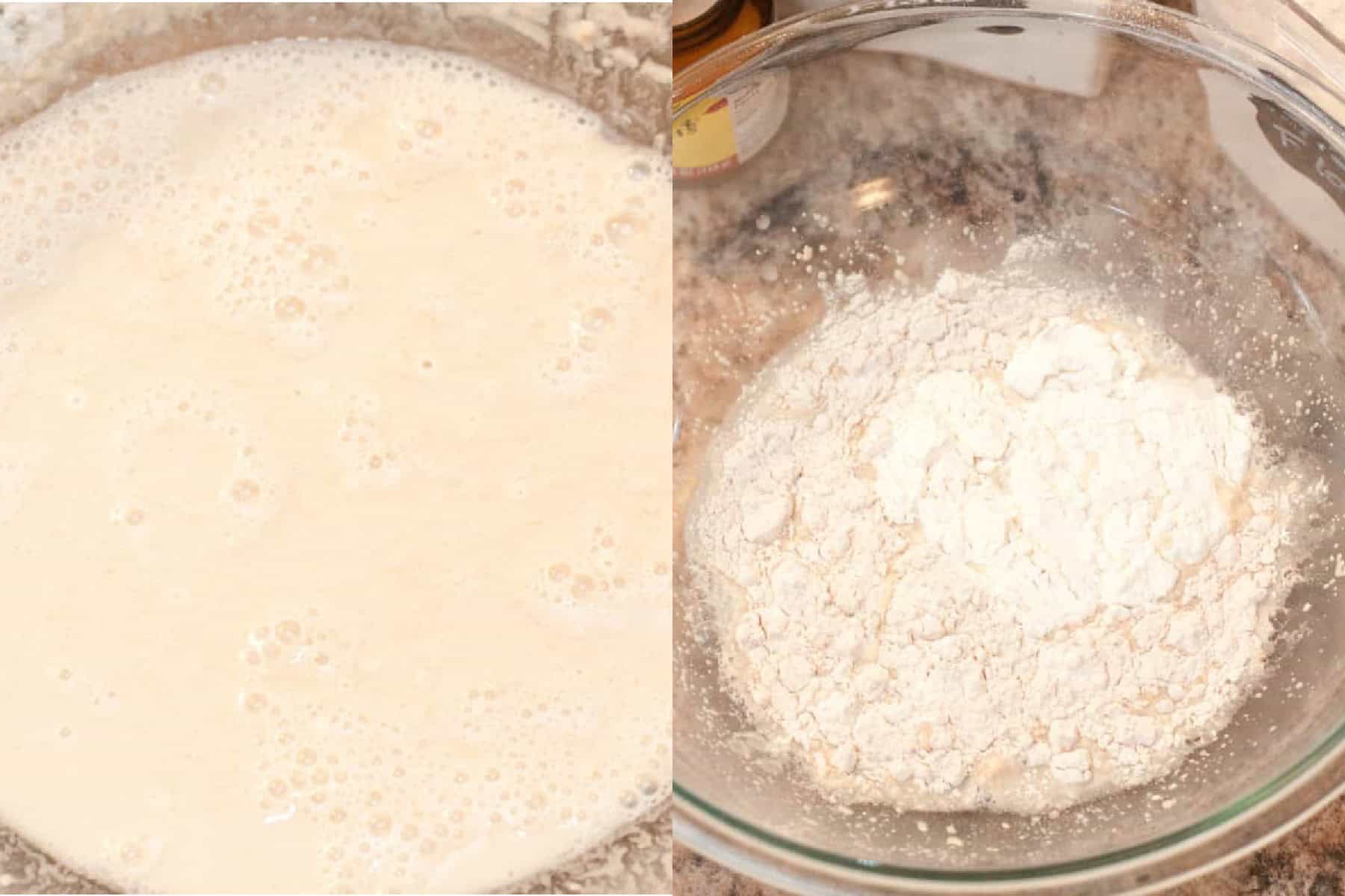 activated yeast and the some flour added to it in a bowl.