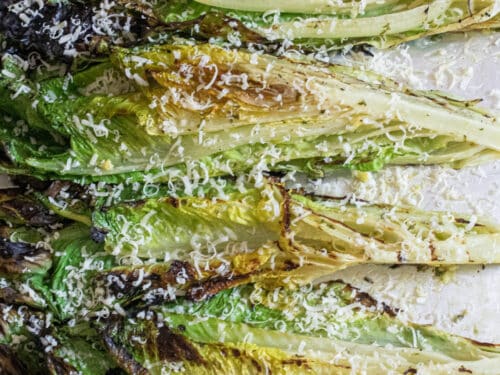 Grilled Romaine