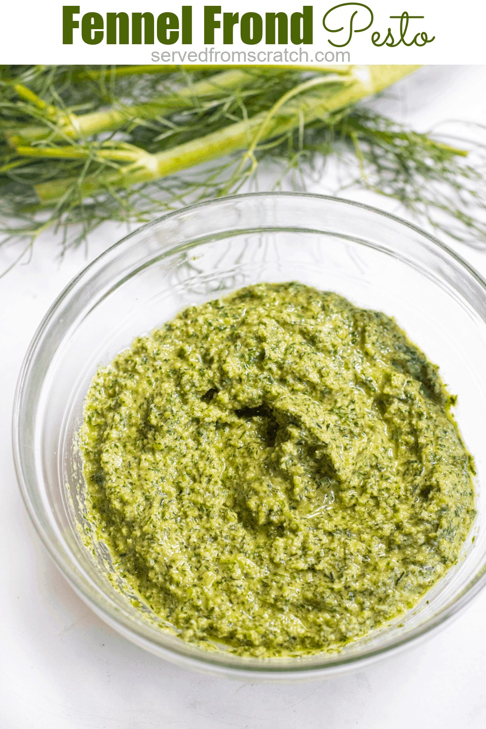 Fennel Frond Pesto Served From Scratch
