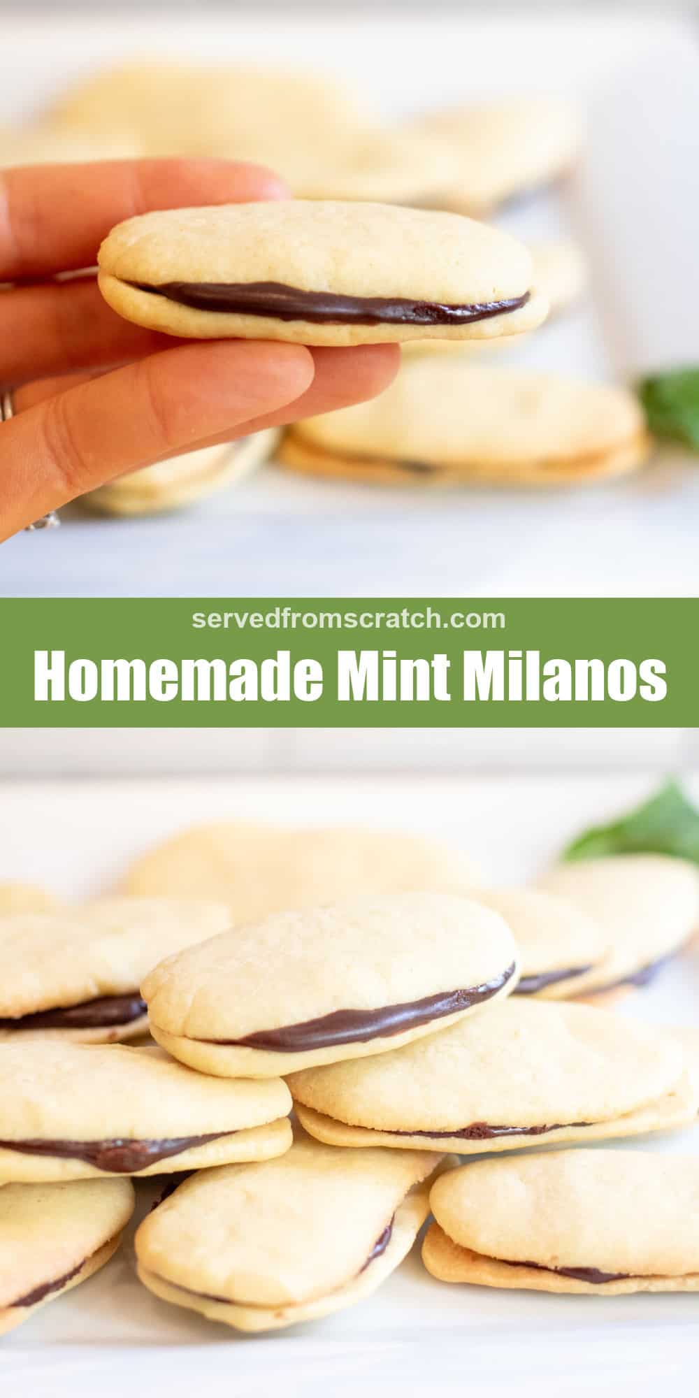 Homemade Mint Milano Cookies Served From Scratch