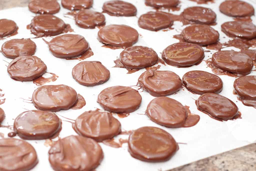 circle chocolate cookies freshly coated with chocolate 