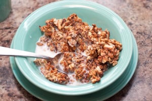 Copycat Kashi Go Lean Crunch Cereal - Served From Scratch