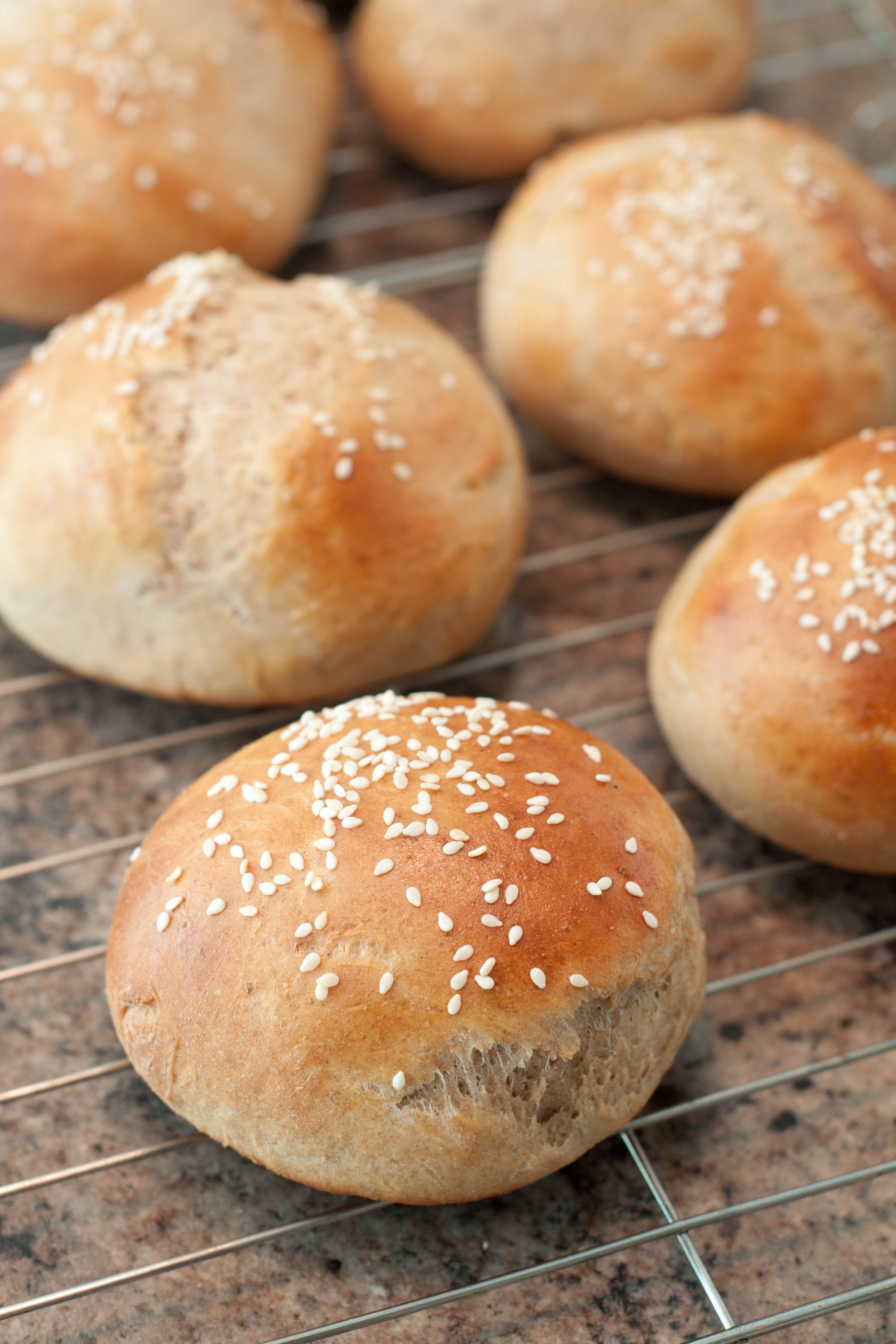 Hamburger Buns (and a little BUN) in the Oven! Served From Scratch