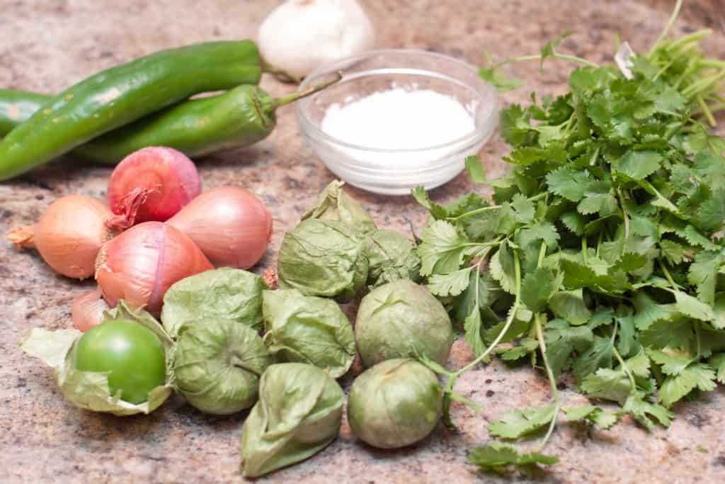 jalapenos, shallots, tomatillos, salt, garlic, and cilantro on counter