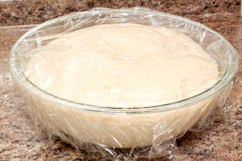 proofed dough in a bowl covered in plastic.
