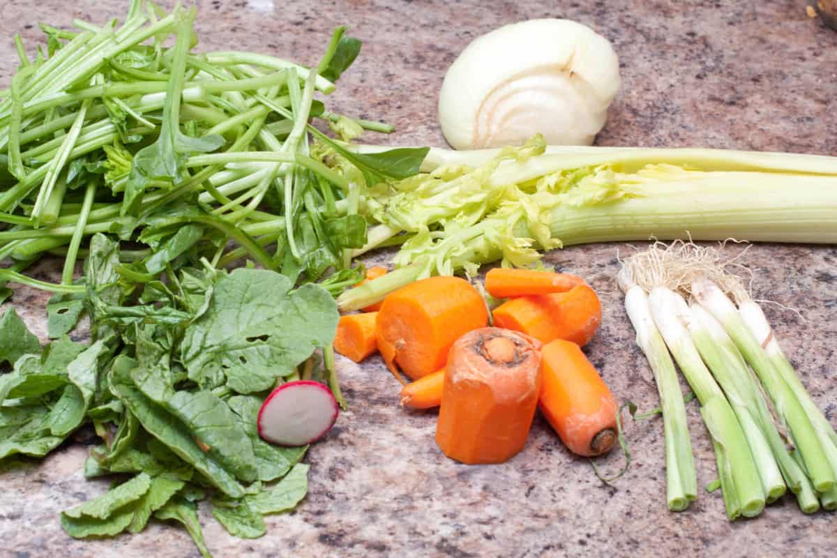 celery, carrots, and other veggie scraps.