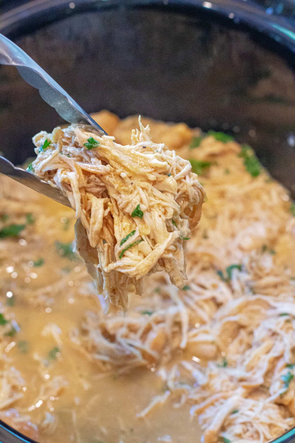 tongs holding shredded chicken.