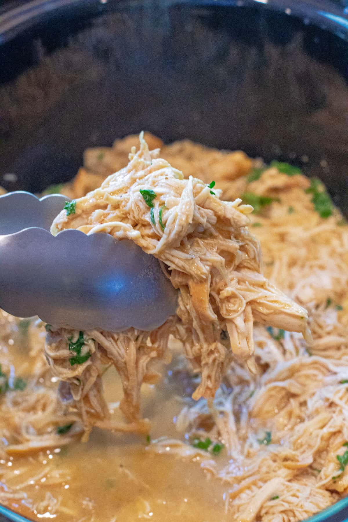 tongs holding shredded chicken.