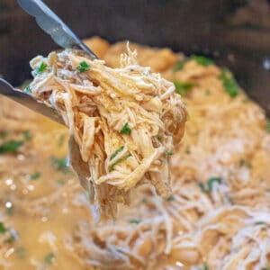 tongs holding shredded chicken in a crock pot of shredded chicken.