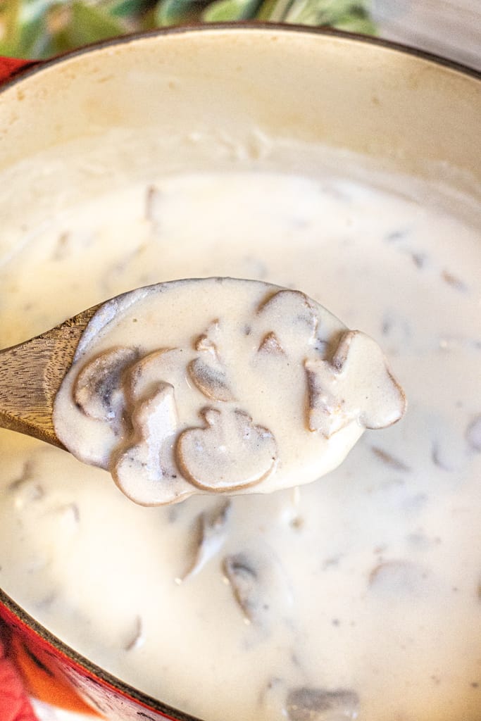 a spoon of cream of mushroom soup over a pot.