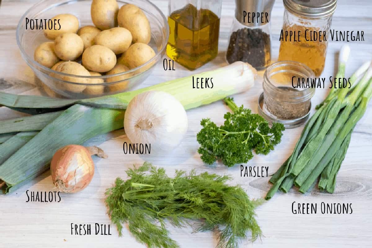 potatoes, onion, leeks, dill, shallot, oil, parsley, vinegar, pepper, and caraway seeds on counter.