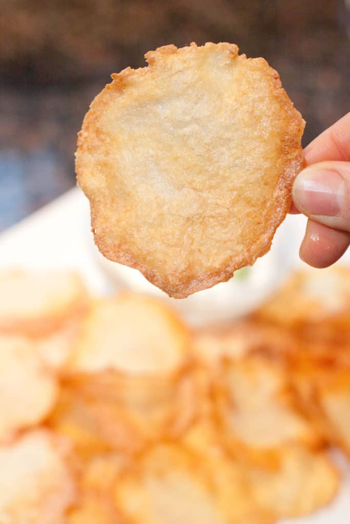 A hand holding up a thin fried chip