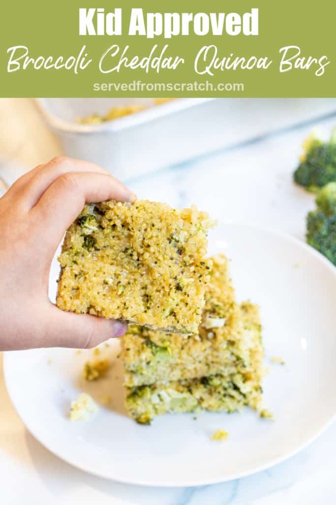 a kid's hand holding a quinoa broccoli cheddar bar over a plate of them with Pinterest pin text.