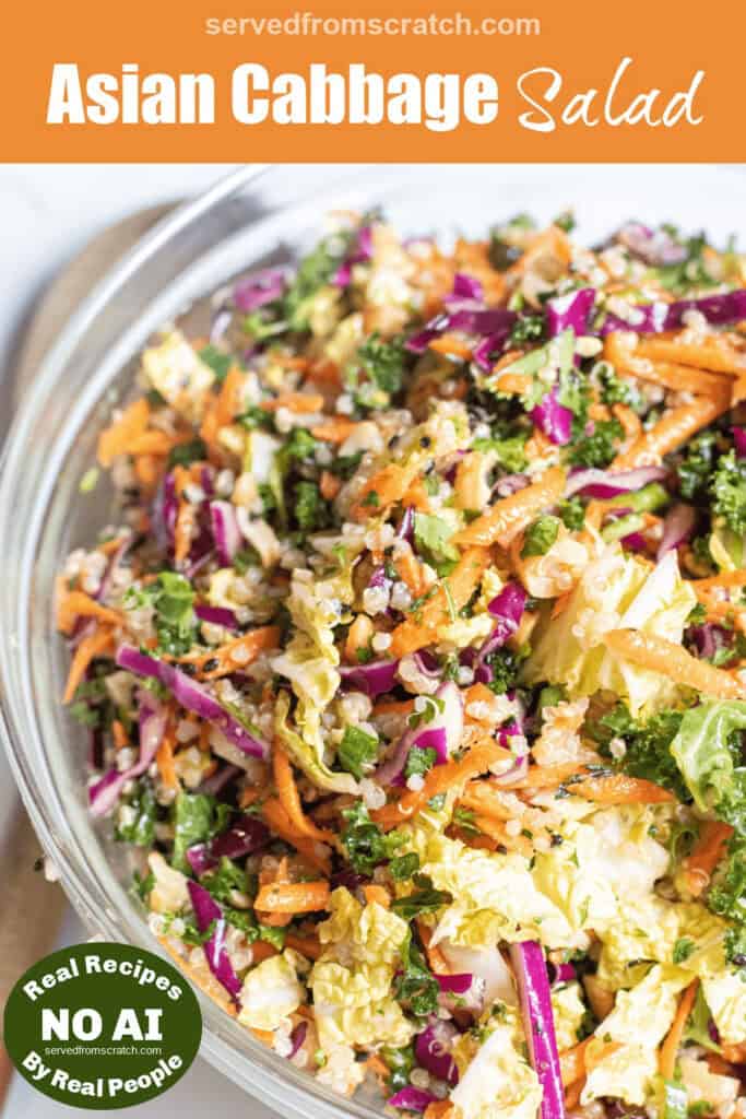 a bowl of cabbage slaw with Pinterest pin text and NO AI sticker.