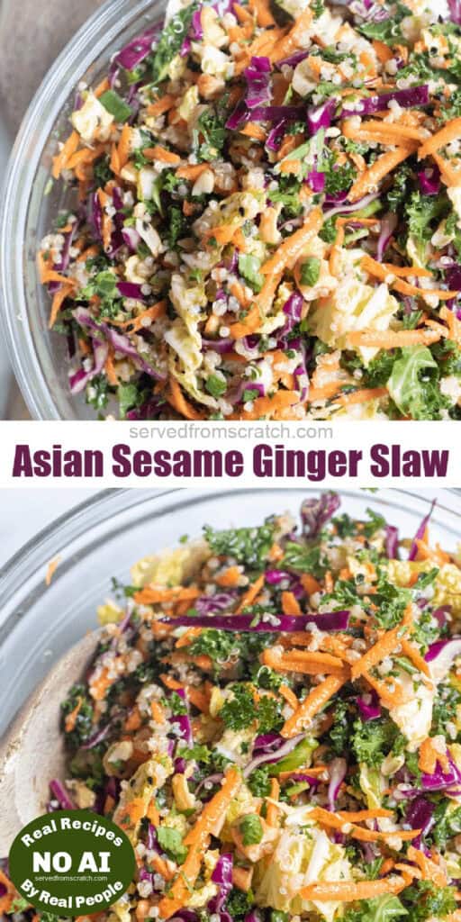 a bowl of cabbage slaw with Pinterest pin text and NO AI sticker.