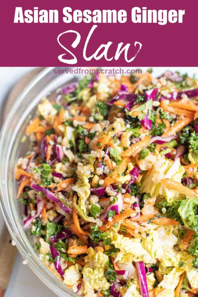 a bowl of cabbage slaw with Pinterest pin text.