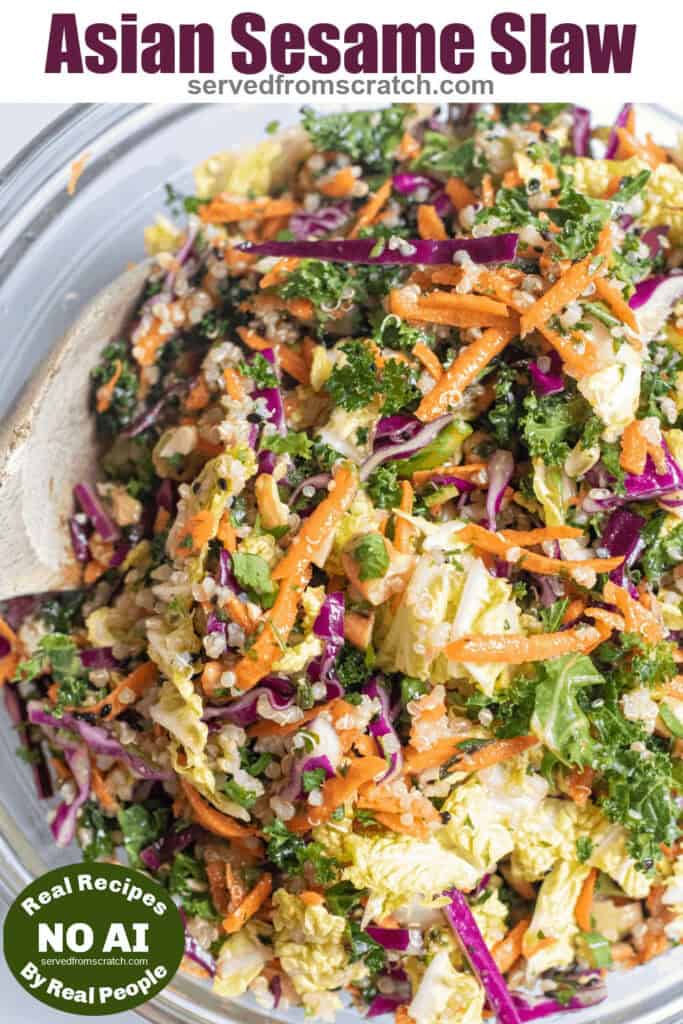 a bowl of cabbage slaw with Pinterest pin text and NO AI sticker.