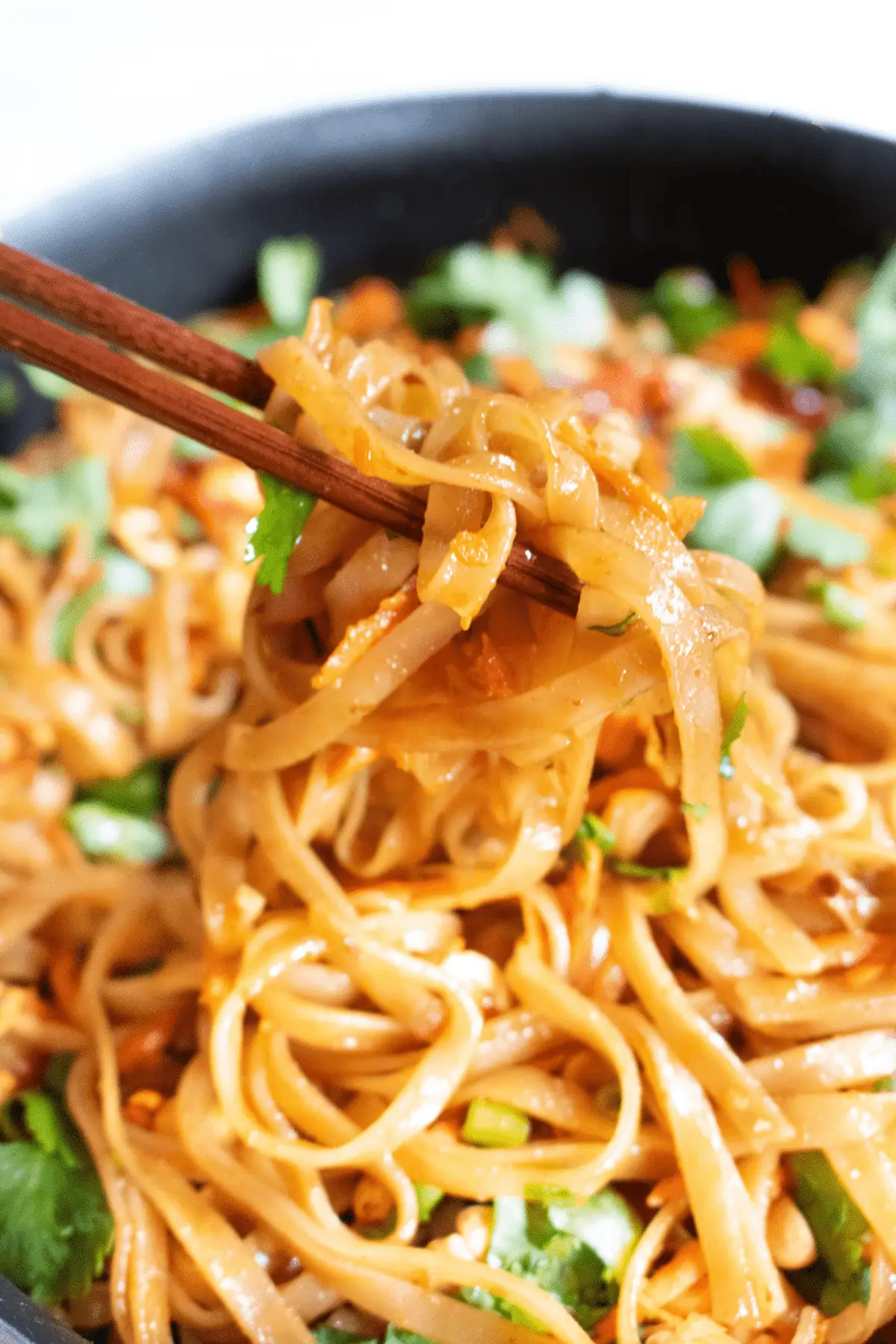 chopsticks holding up some noodles in a pan with carrots and cilantro and peanuts