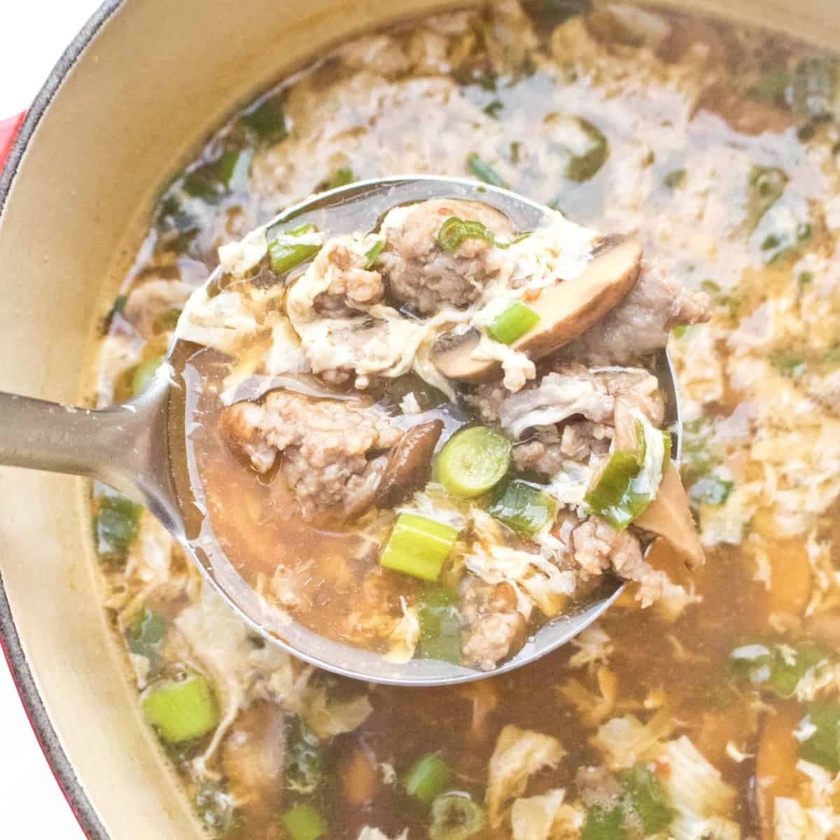 a dutch oven with a ladle of pork and mushroom soup.