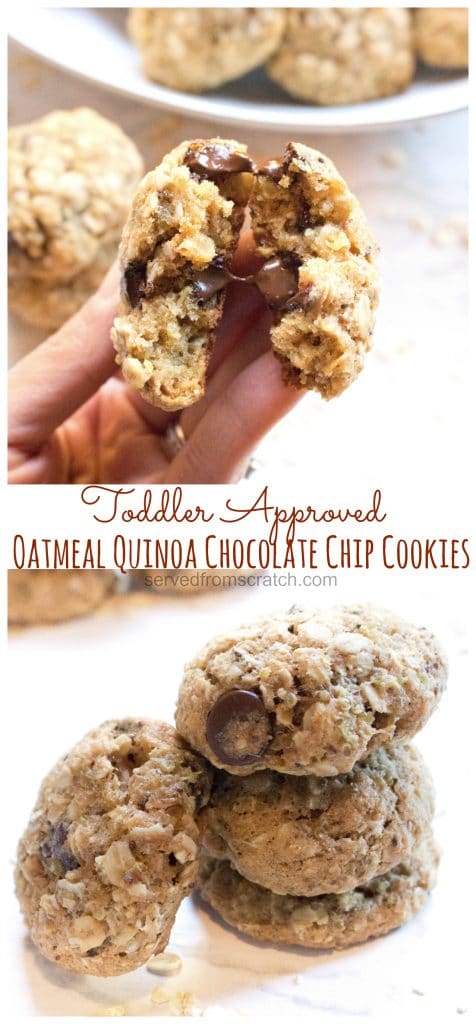 These Oatmeal Quinoa Chocolate Chip Cookies are toddler friendly, mom approved cookies that are packed full of nutrition but satisfy a craving for a big soft chocolate chip cookie!