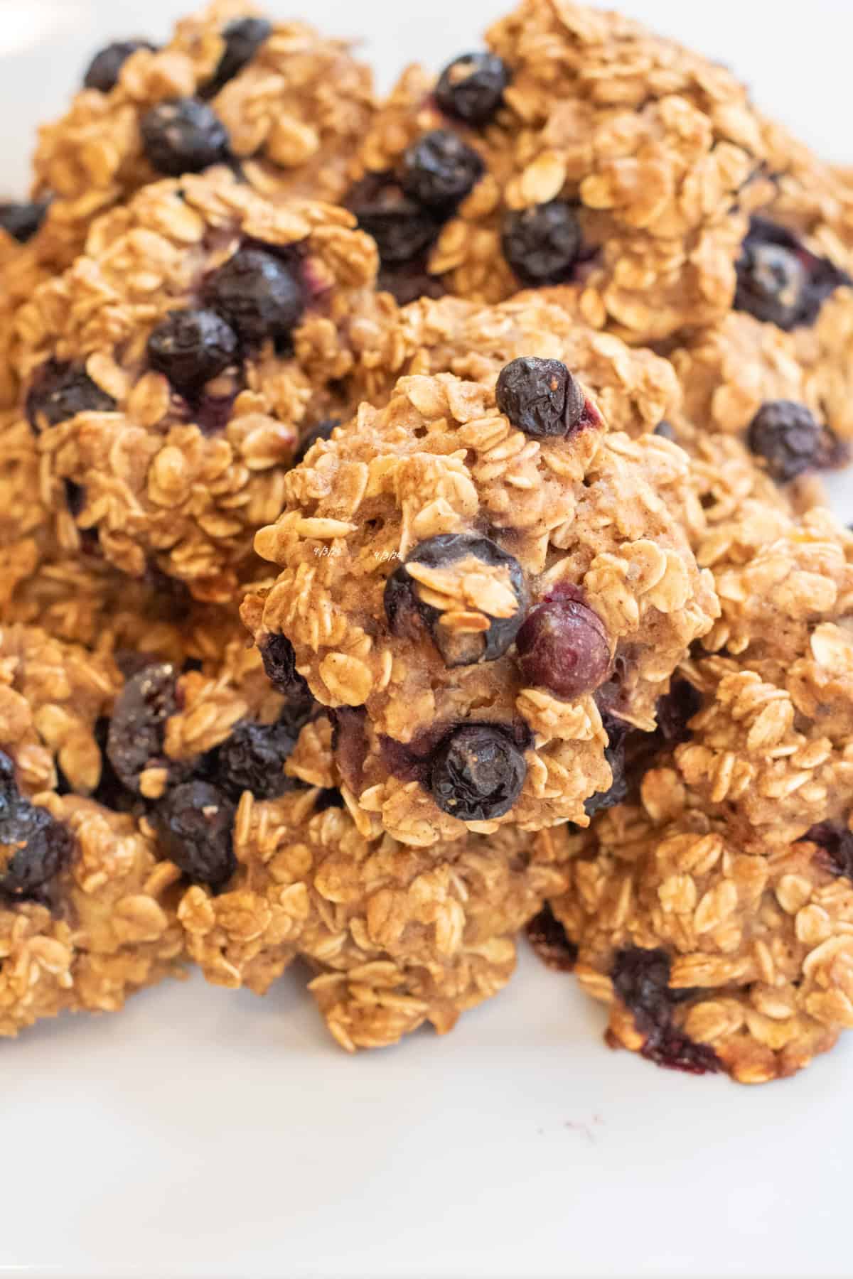 a close up of a plate of oatmeal cookies with blueberries.