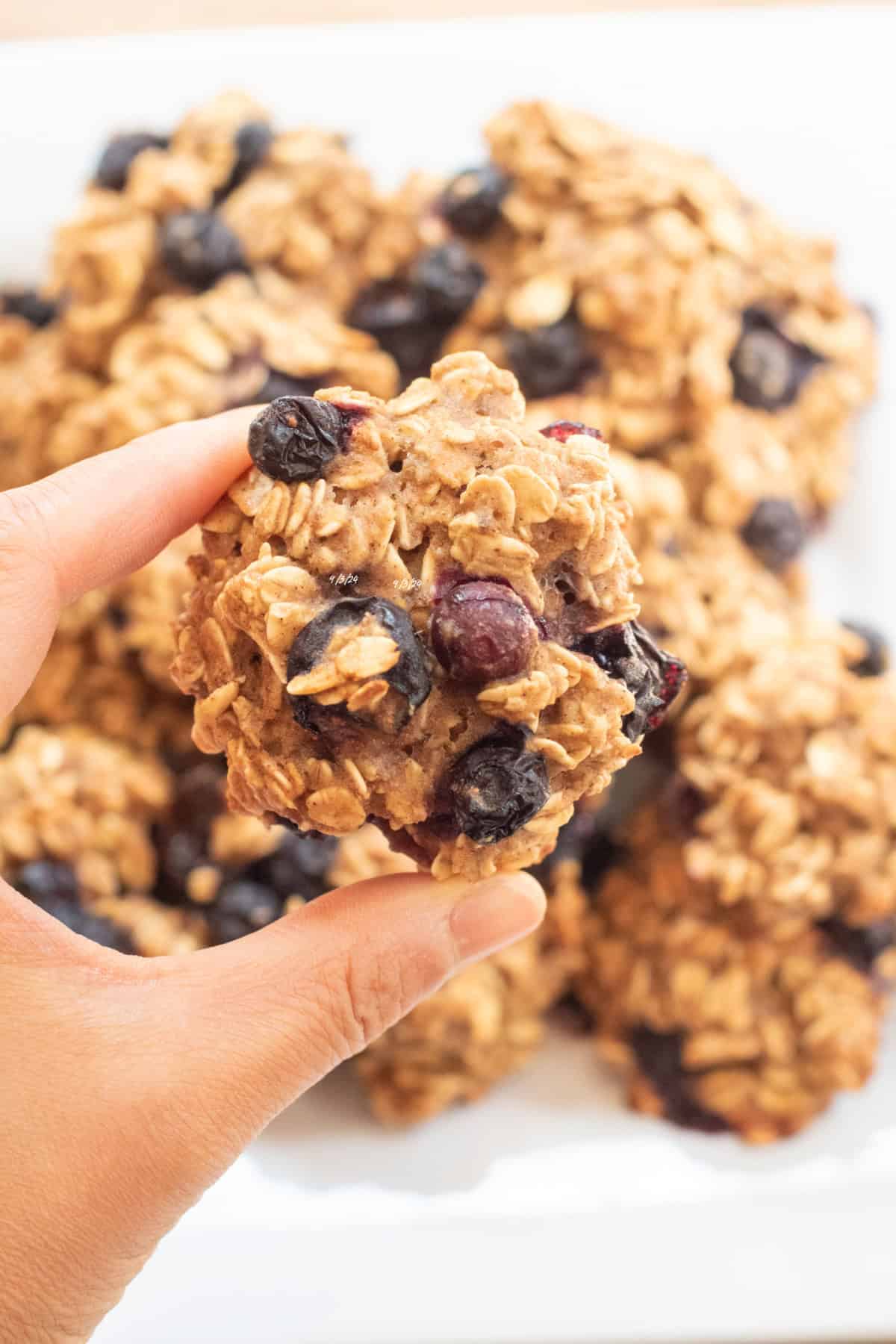 a hand holding an oatmeal cookie with blueberries.