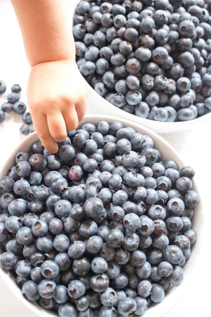 Fresh blueberries in bowls with baby hand reaching in 