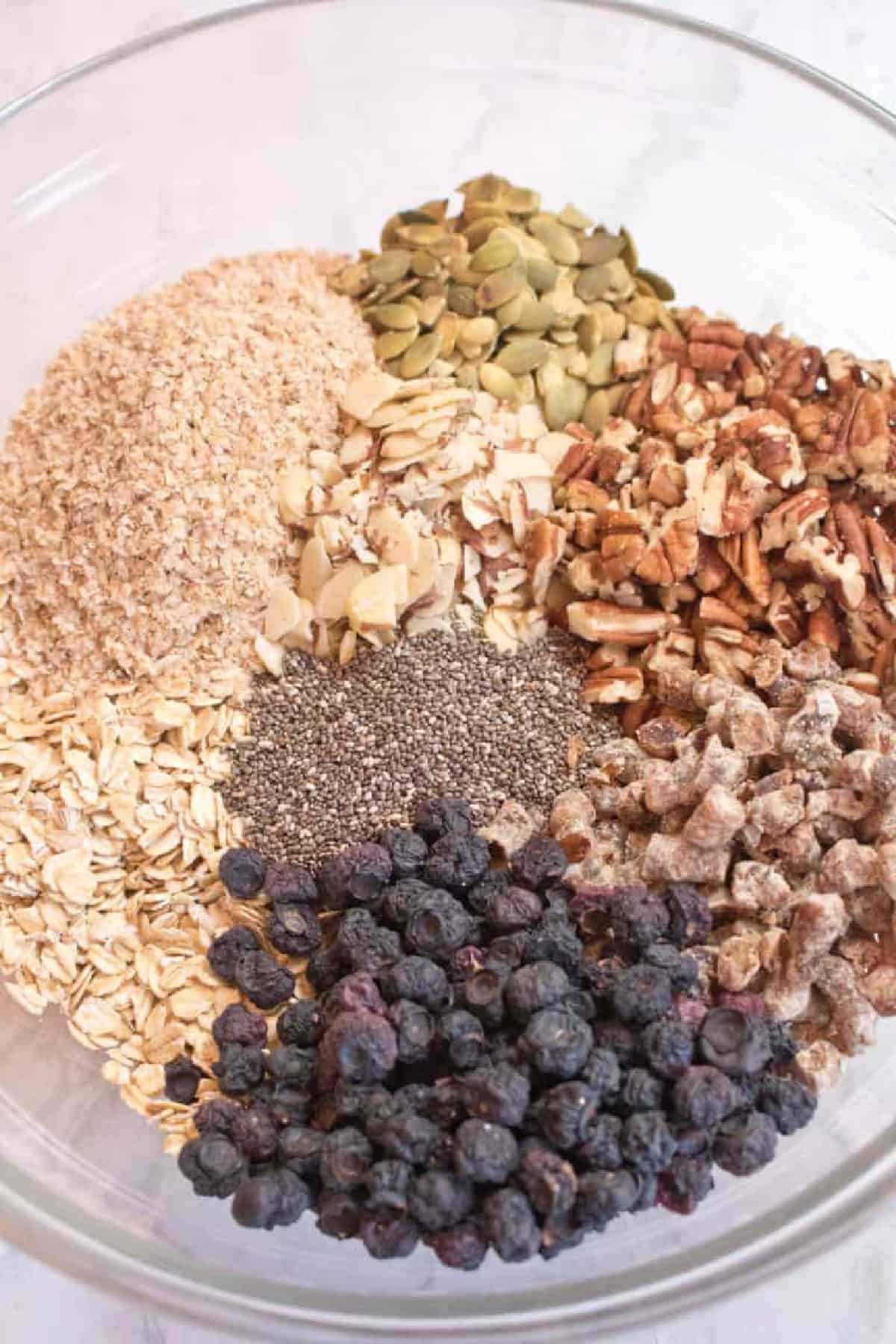 a bowl of oats, dried blueberries, nuts, wheat germ, and chia seeds.
