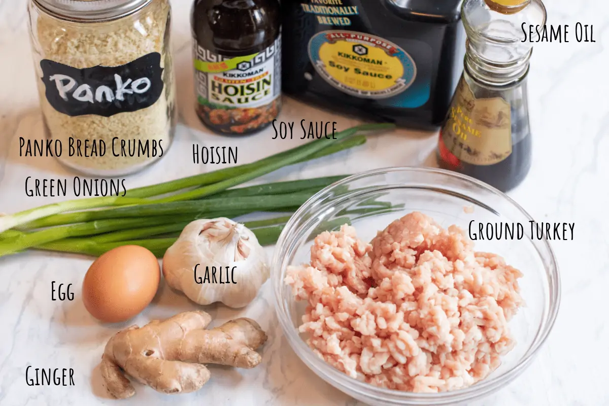 panko, hoisin, soy, ground turkey, green onions, ginger, garlic, and sesame oil and an egg on counter.