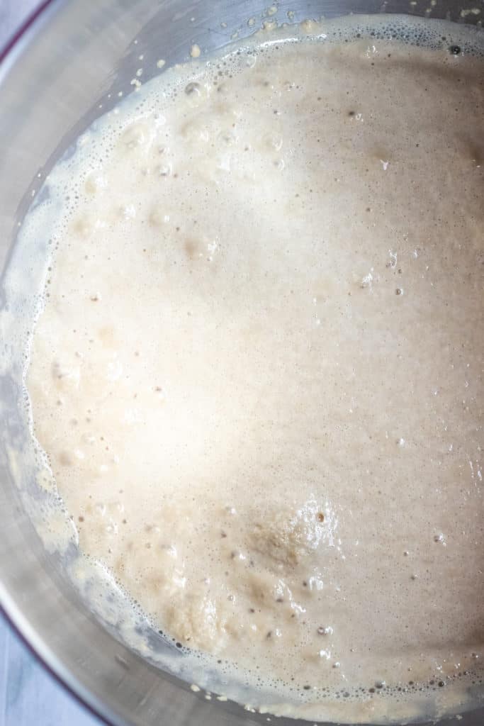 activated yeast in a stand mixer bowl.