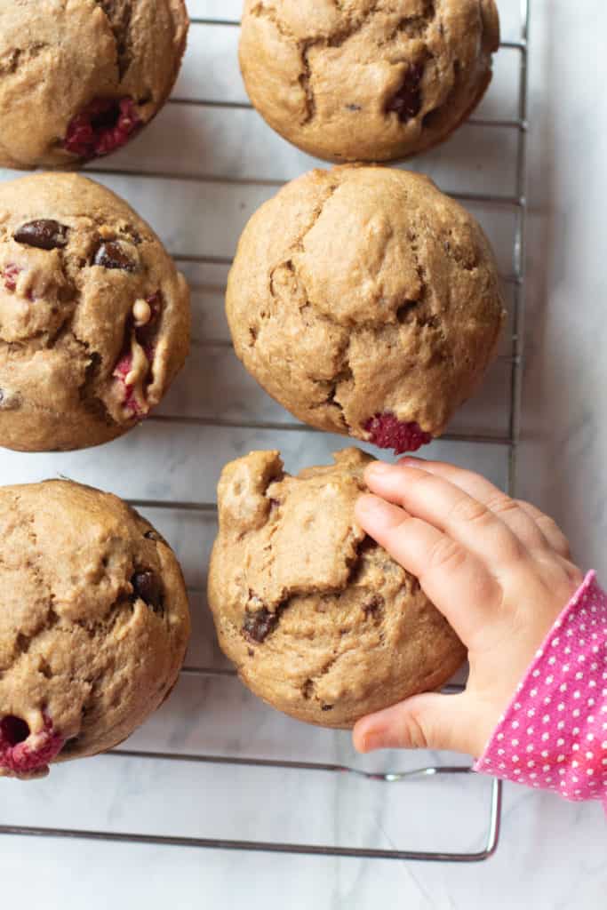 raspberry chocolate chip muffins on cooling rack with baby hand