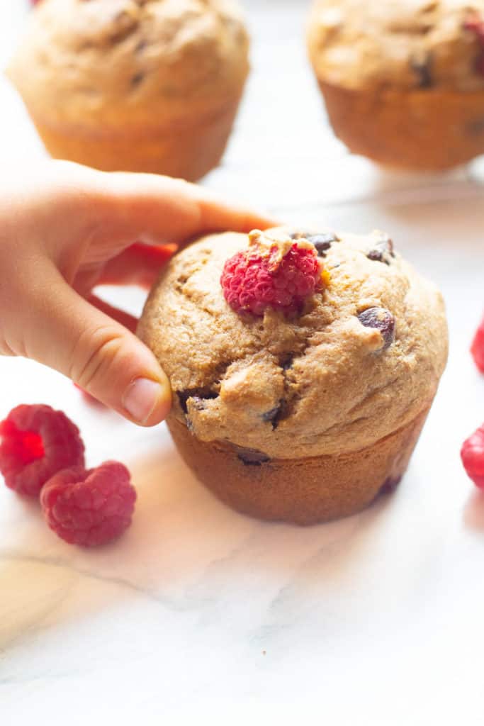 fresh baked muffin with chocolate chip, raspberries, held by toddler hand
