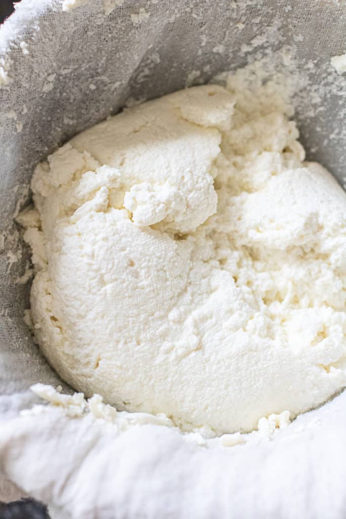Ricotta Cheese from Scratch Served From Scratch
