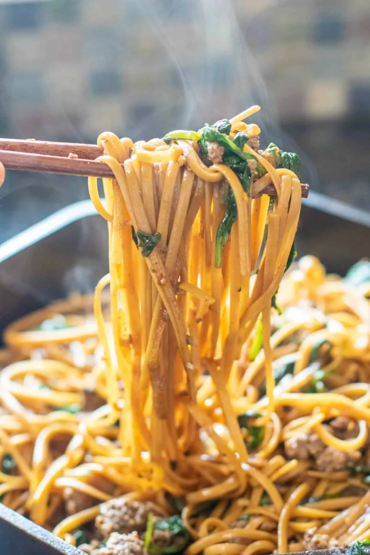 Beef and Spinach Noodles