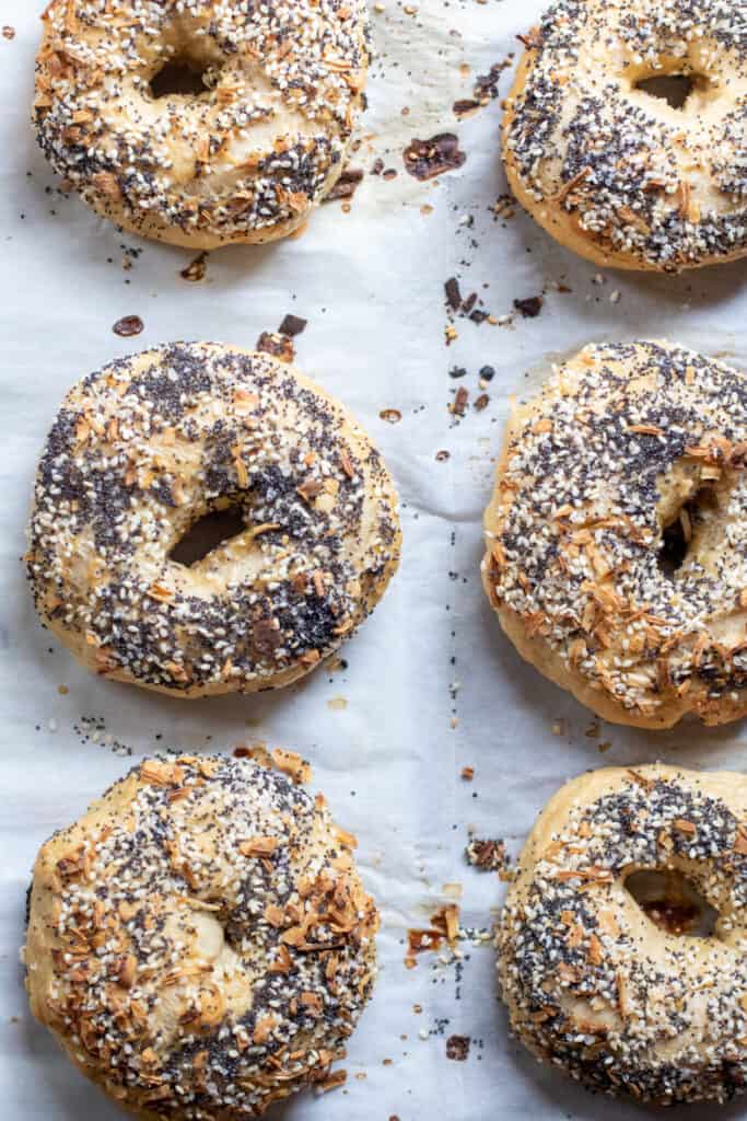 6 everything bagels on parchment lined baking sheets