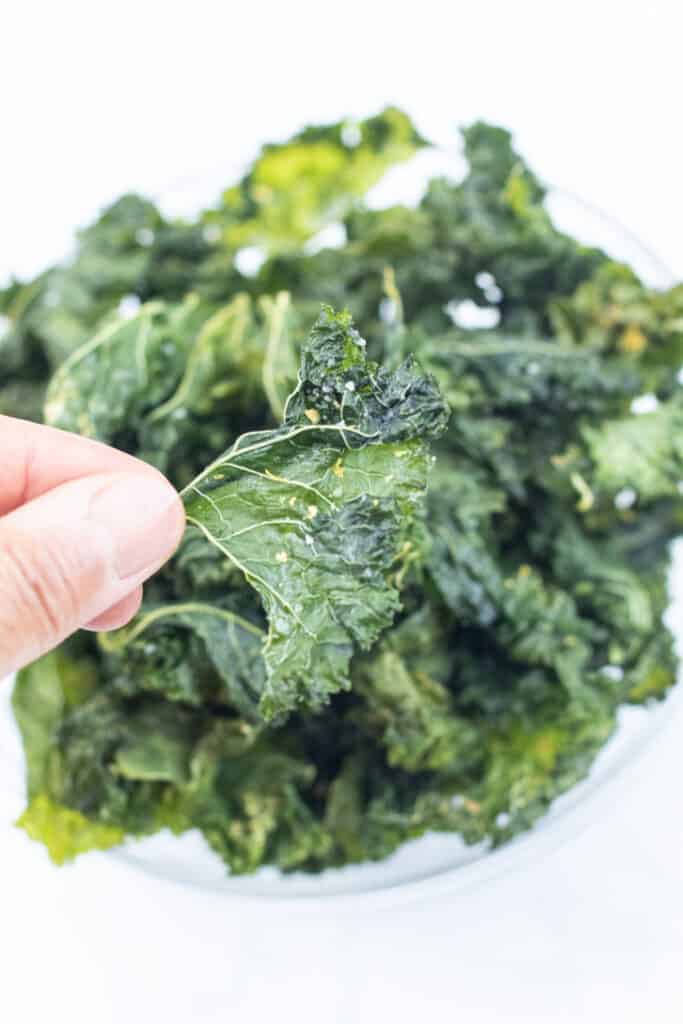 a hand holding a crispy kale chip