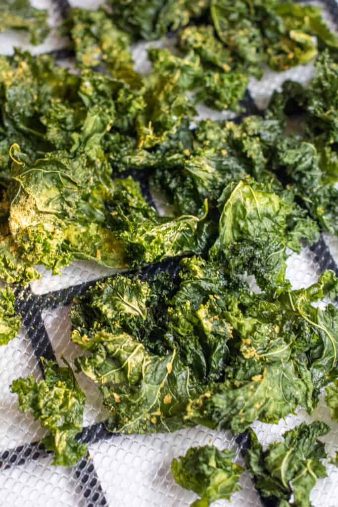 crispy kale chips on a dehydrator tray