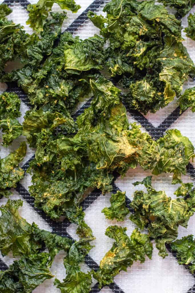 uncooked kale chips on a dehydrator tray