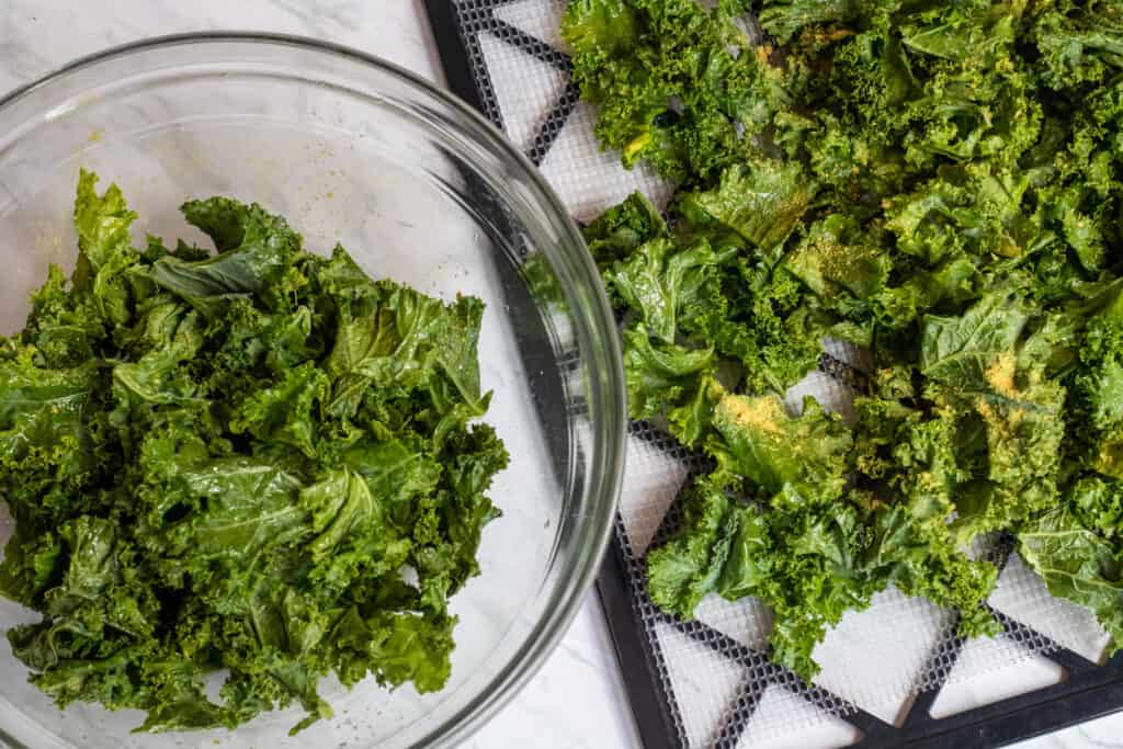 a bowl of kale and a dehydrator tray of uncooked kale chips