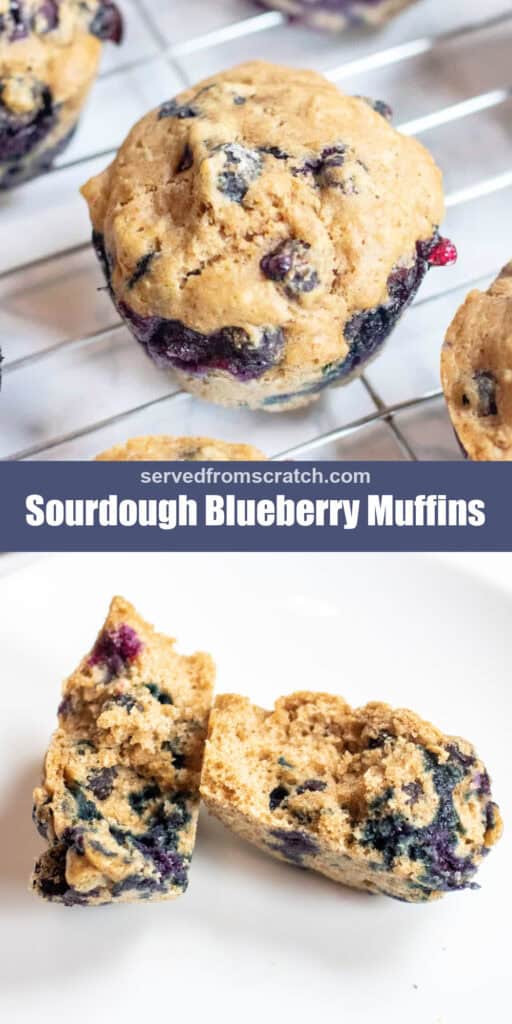 a tray of baked blueberry muffins with Pinterest pin text with a muffin halved.