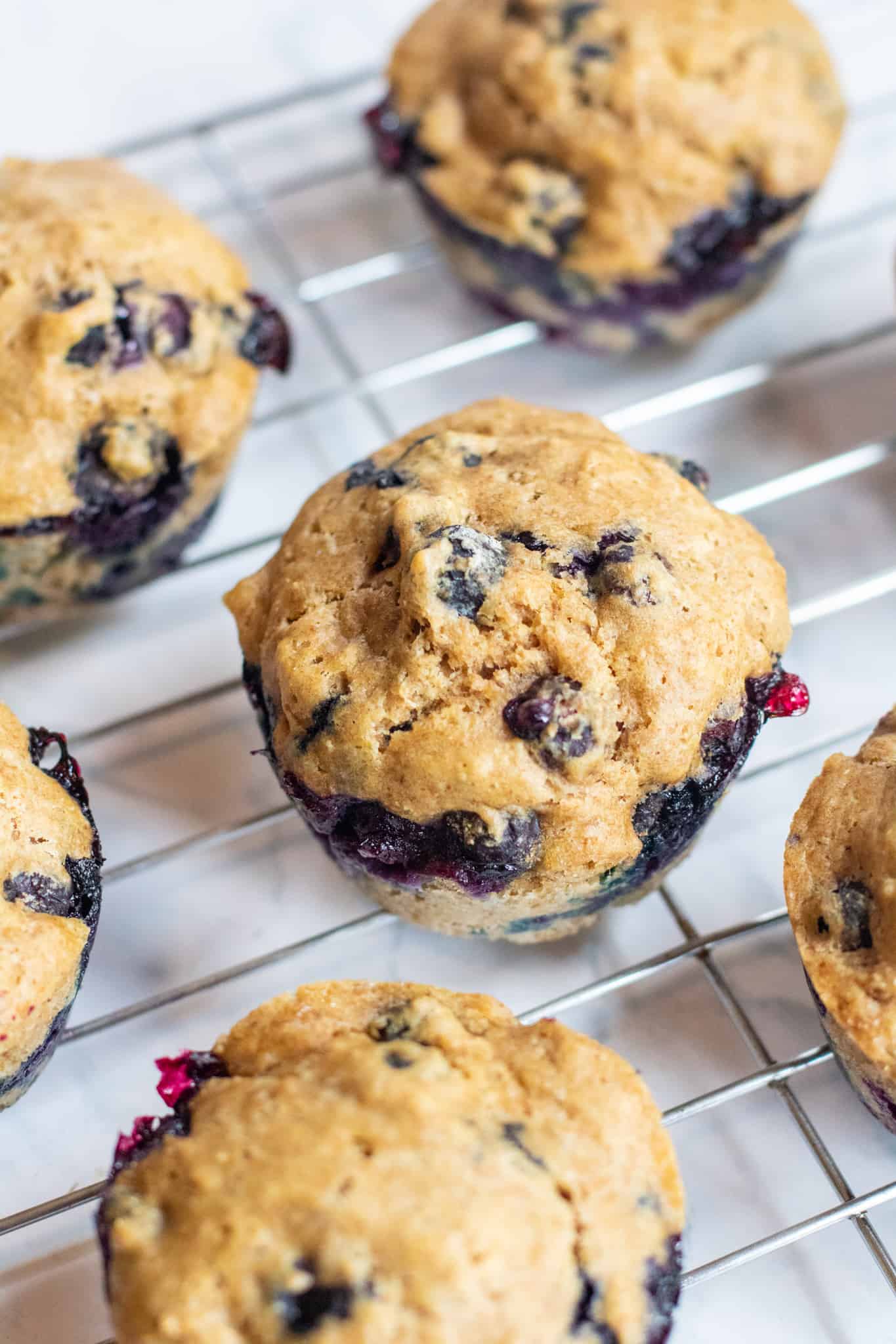 Sourdough Whole Wheat Blueberry Muffins Served From Scratch
