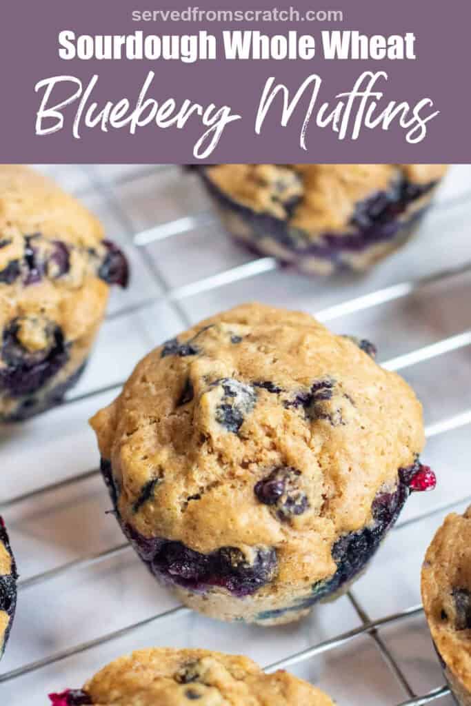 a cooling rack with blueberry muffins on it with Pinterest pin text.