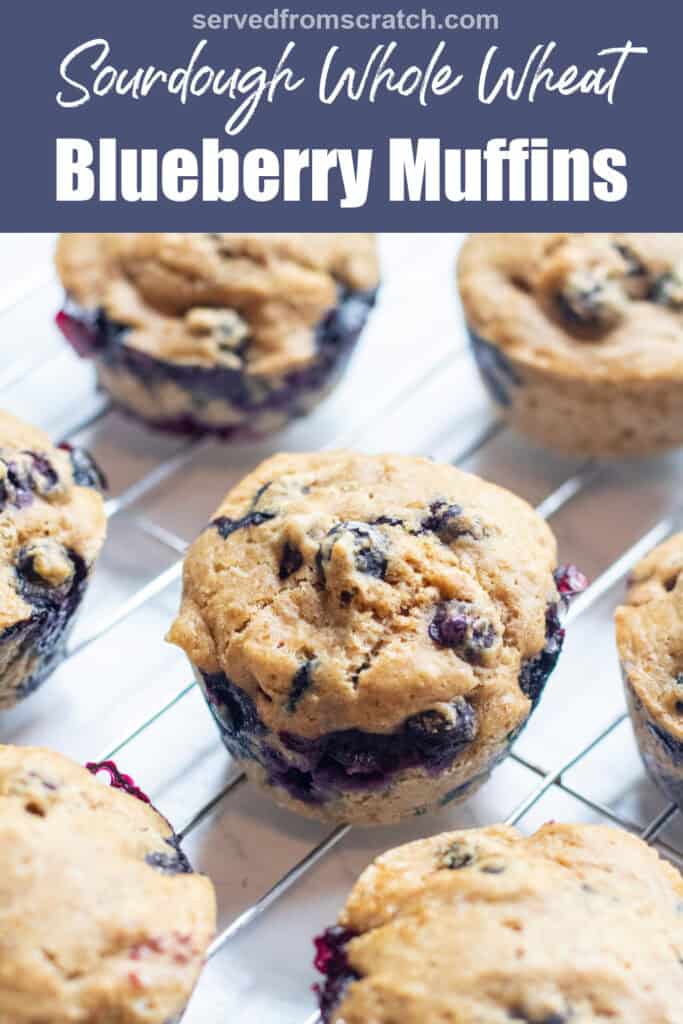 a tray of baked blueberry muffins with Pinterest pin text.